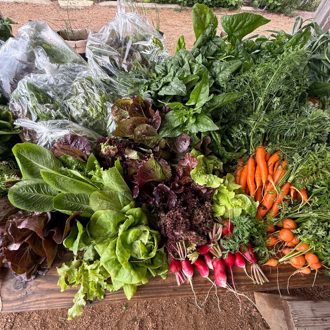 Harvest Day at Herff Farm - logo